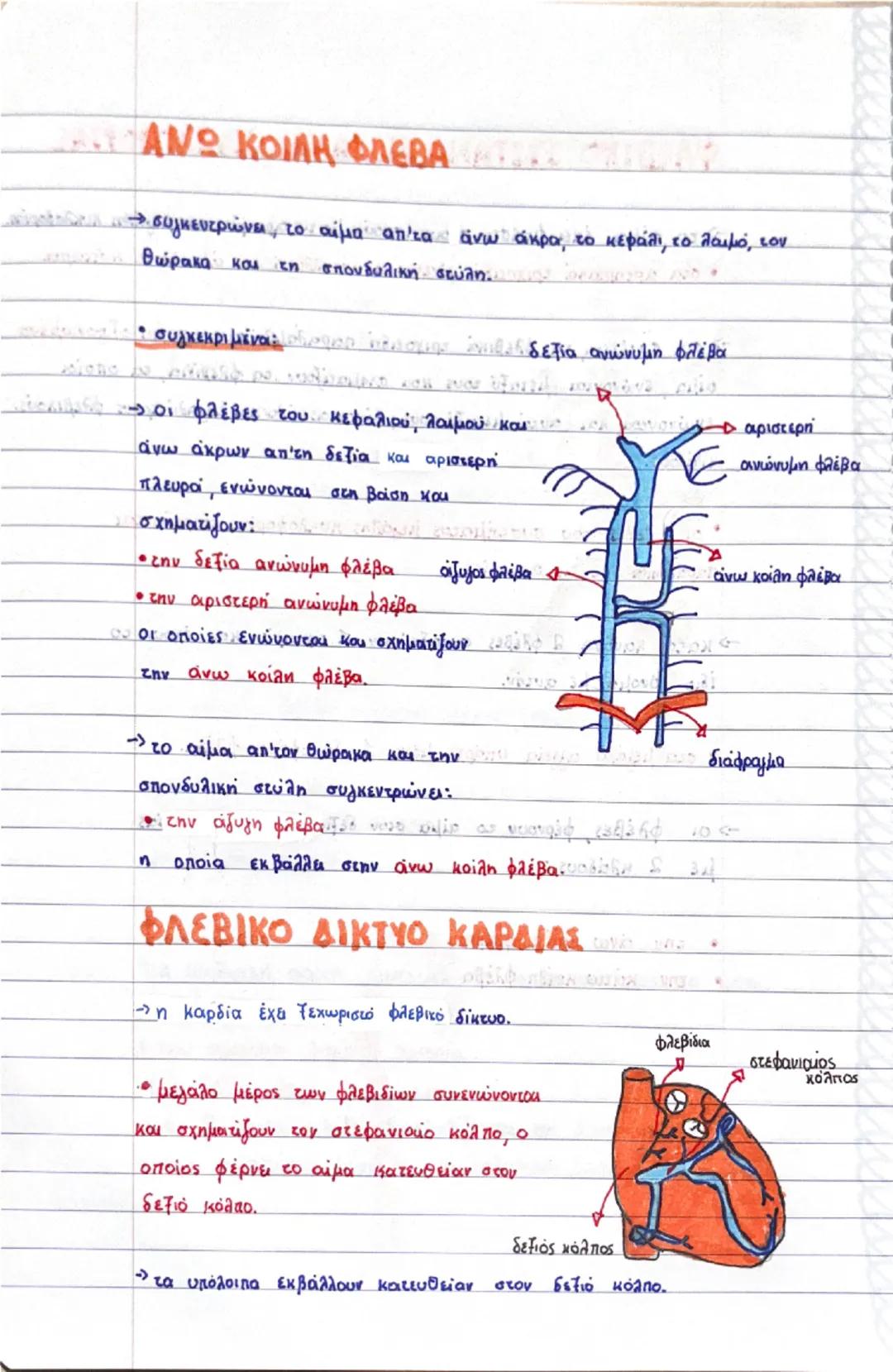 Κεφάλαιο 3:

δεξί
πνευμόνι
διαφραγμα
αριστερο
πνευμόνι
δετιόλιος
R
μεσοκολπικό
διάφραγμα
το δεξία
κοιλία
αριστερός
κόλπο
μεσοκοιλιακό
διάφρα