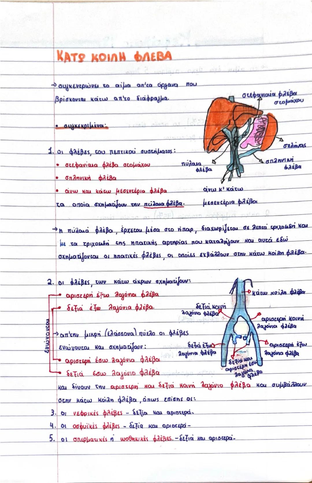 Κεφάλαιο 3:

δεξί
πνευμόνι
διαφραγμα
αριστερο
πνευμόνι
δετιόλιος
R
μεσοκολπικό
διάφραγμα
το δεξία
κοιλία
αριστερός
κόλπο
μεσοκοιλιακό
διάφρα
