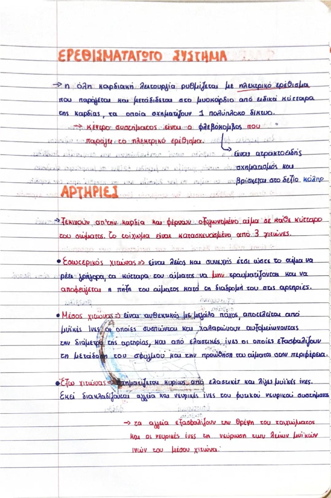 Κεφάλαιο 3:

δεξί
πνευμόνι
διαφραγμα
αριστερο
πνευμόνι
δετιόλιος
R
μεσοκολπικό
διάφραγμα
το δεξία
κοιλία
αριστερός
κόλπο
μεσοκοιλιακό
διάφρα