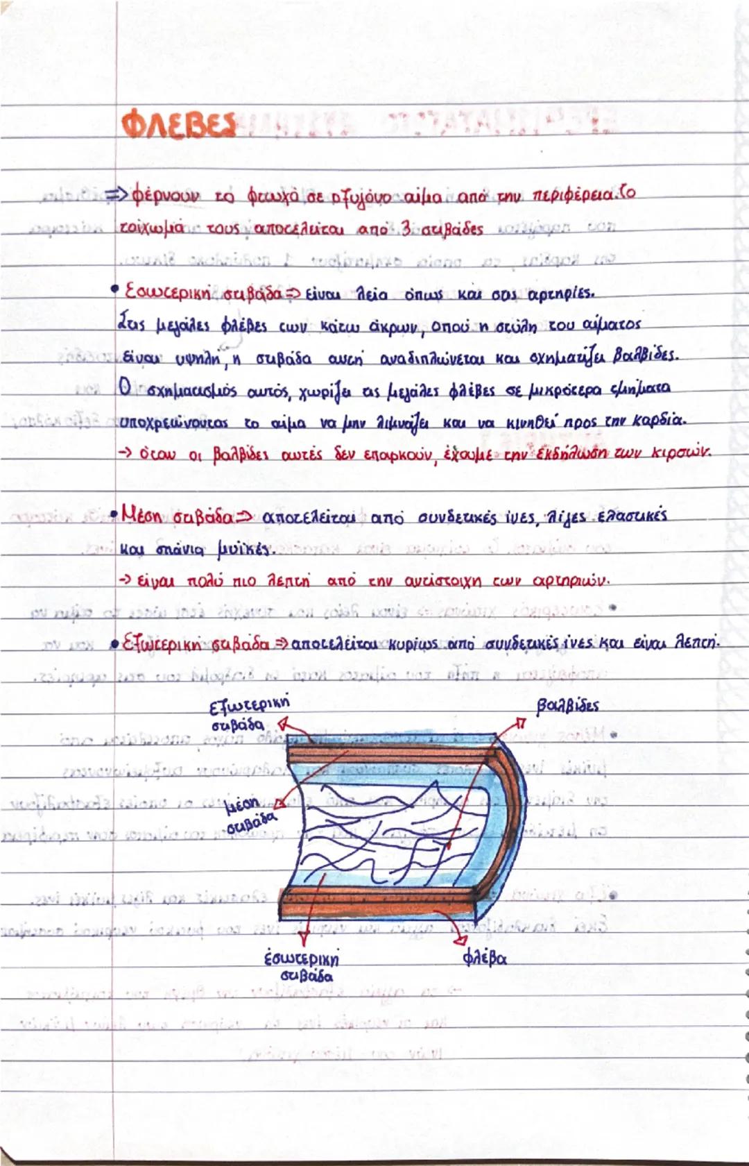 Κεφάλαιο 3:

δεξί
πνευμόνι
διαφραγμα
αριστερο
πνευμόνι
δετιόλιος
R
μεσοκολπικό
διάφραγμα
το δεξία
κοιλία
αριστερός
κόλπο
μεσοκοιλιακό
διάφρα