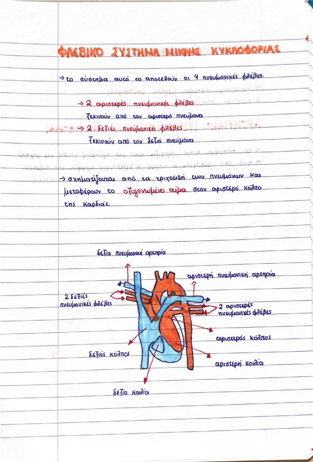 Κεφάλαιο 3:

δεξί
πνευμόνι
διαφραγμα
αριστερο
πνευμόνι
δετιόλιος
R
μεσοκολπικό
διάφραγμα
το δεξία
κοιλία
αριστερός
κόλπο
μεσοκοιλιακό
διάφρα