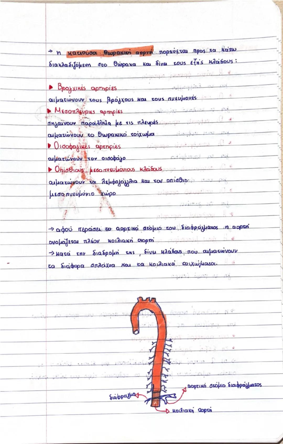 Κεφάλαιο 3:

δεξί
πνευμόνι
διαφραγμα
αριστερο
πνευμόνι
δετιόλιος
R
μεσοκολπικό
διάφραγμα
το δεξία
κοιλία
αριστερός
κόλπο
μεσοκοιλιακό
διάφρα