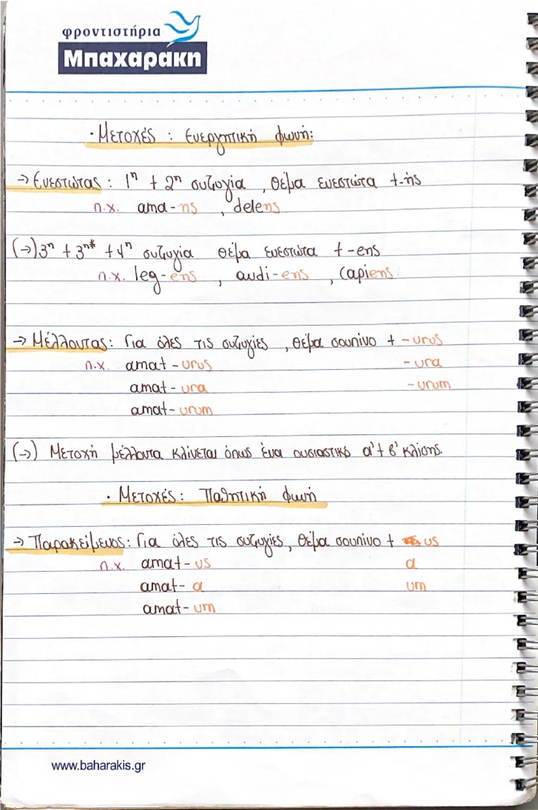 Θεωρία λατινικών Γ λυκείου 