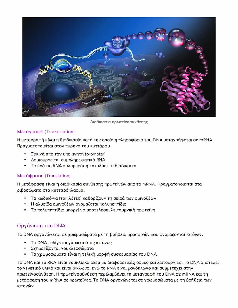 --- OCR Start ---
Διαφορές DNA και RNA - Δομή και Λειτουργία
Βασικές Διαφορές DNA και RNA
Το DNA (Δεσοξυριβονουκλεϊκό οξύ) και το RNA (Ριβον