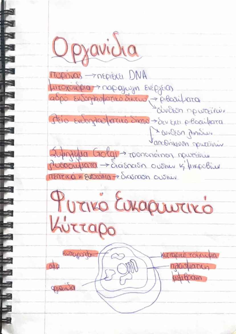 # Κύτταρα
- προκαρυωτικά
- ευκαρυωτικά
  • φυτικά κύτταρα
  • ζωϊκά κυτταρα
# ζωικό ευκαρυωτικό
# Κύτταρο
μεμβράνη
-κυτταρόπλασμα
oργανίδια 
