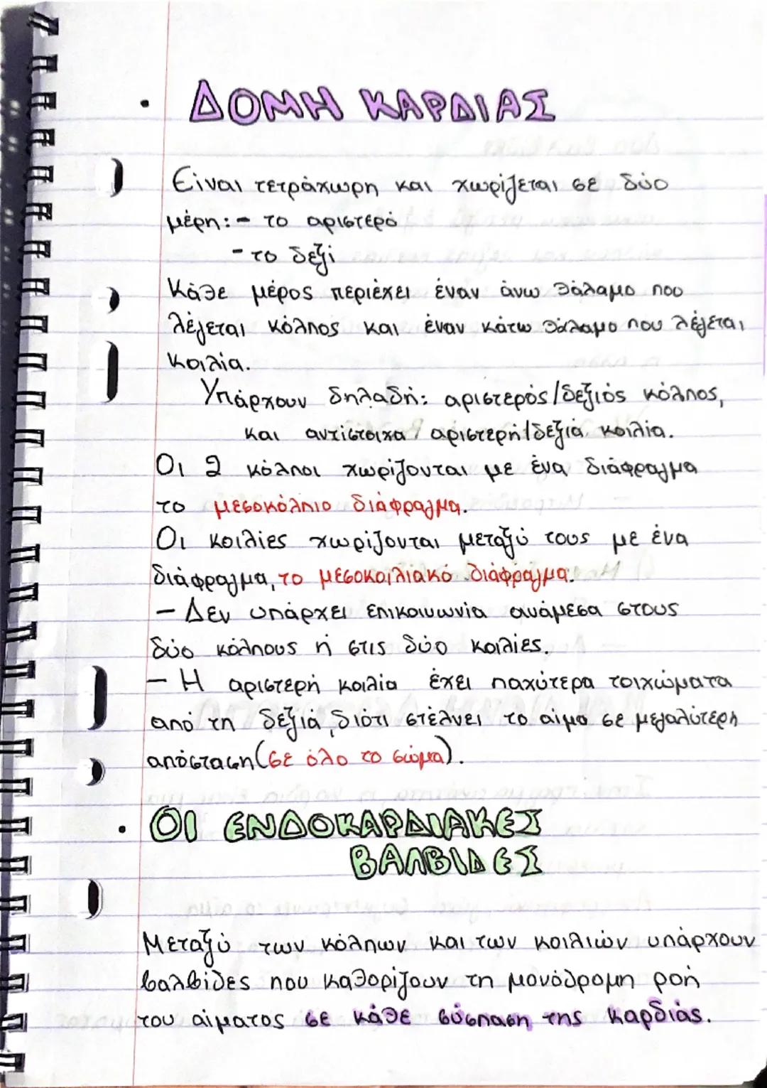 ΚΑΡΔΙΑ

Θέση και περιγραφή
- Η καρδιά είναι ένα όργανο μυώδες
(αποτελείται από μυϊκό ιστό, το μυοκάρδιο)
και κοίλο και έχει σχήμα τριγωνικής