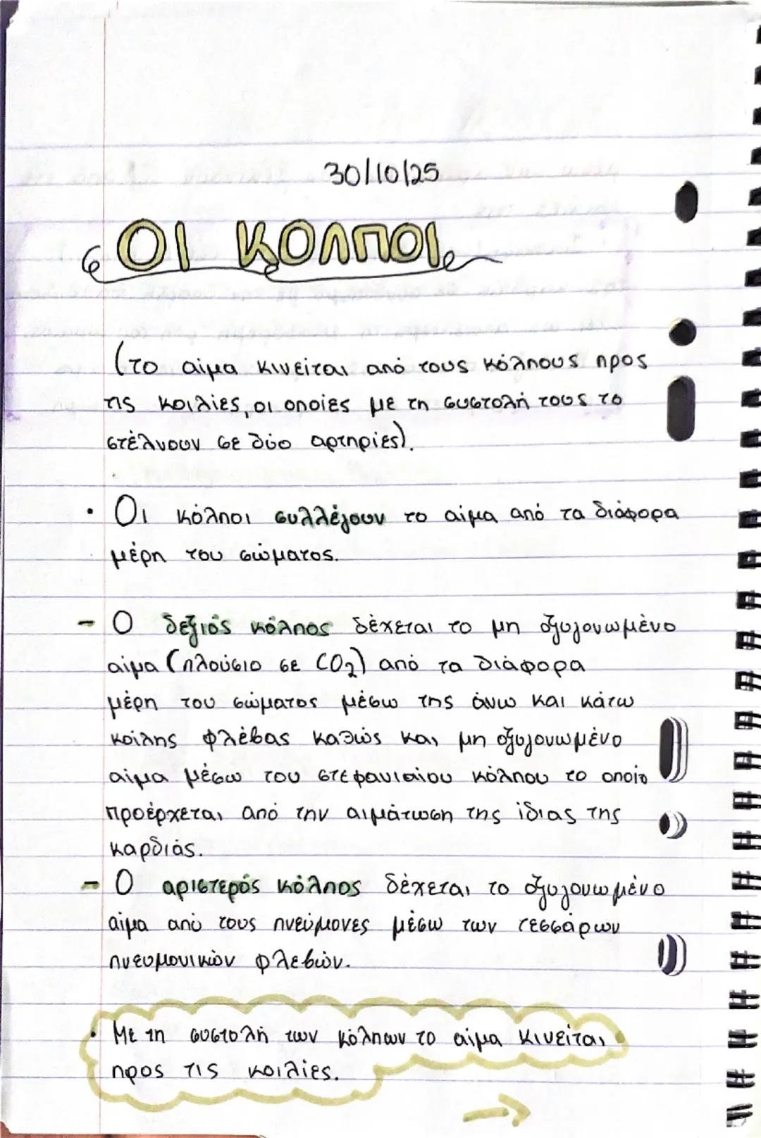 ΚΑΡΔΙΑ

Θέση και περιγραφή
- Η καρδιά είναι ένα όργανο μυώδες
(αποτελείται από μυϊκό ιστό, το μυοκάρδιο)
και κοίλο και έχει σχήμα τριγωνικής