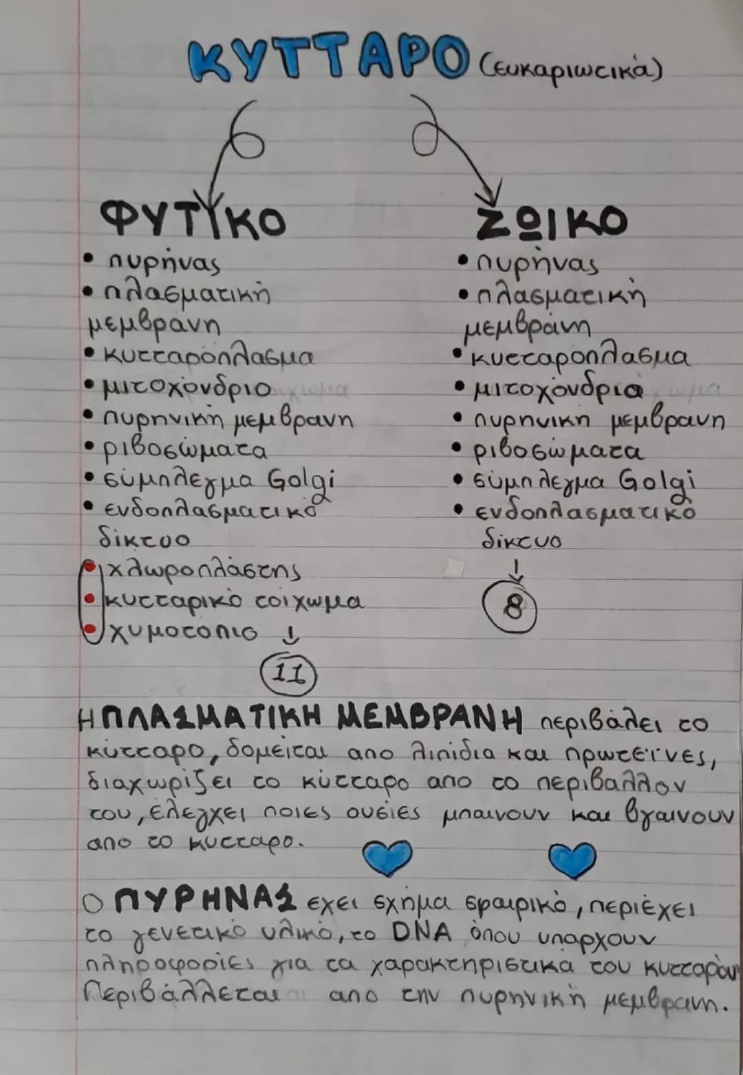ΚΥΤΤΑΡΟ: Η μονάδα της ζωης.