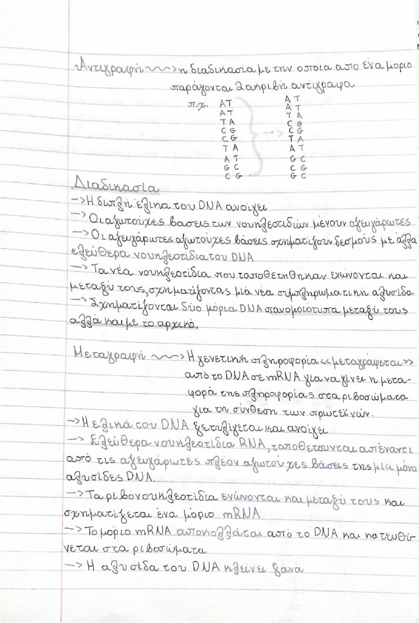 # Η δομή των νουκλεϊκών οξέων

Τα νουκλεοτίδια που δομούν το DNA και ενώνονται μεταξύ
tους με ισχυρούς χημικούς δεσμούς, σχηματίζοντας μια α
