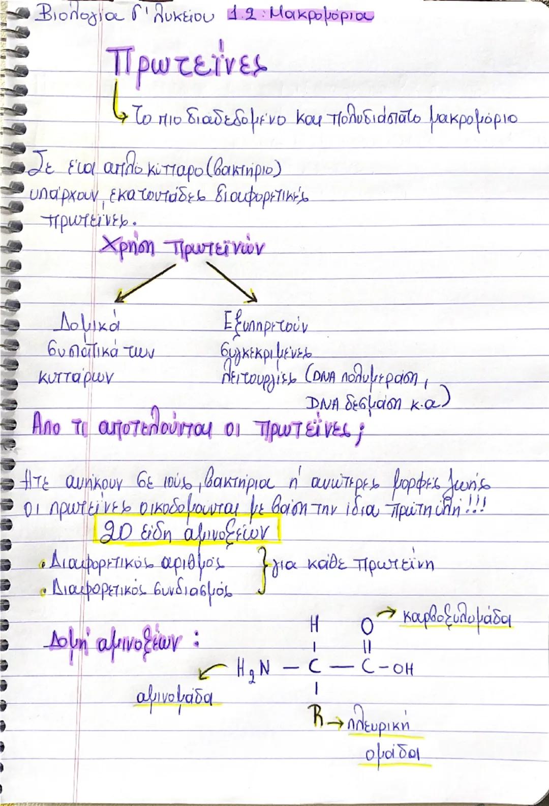 Βιολογία Γ' λυκείου 1.2: Μακρομόριου
Πρωτείνες
στο • Το πιο διαδεδομένο και πολυδιάστατο μακρομόριο
Σε ένα απλό κύτταρο (βακτήριο)
υπάρχουν,
