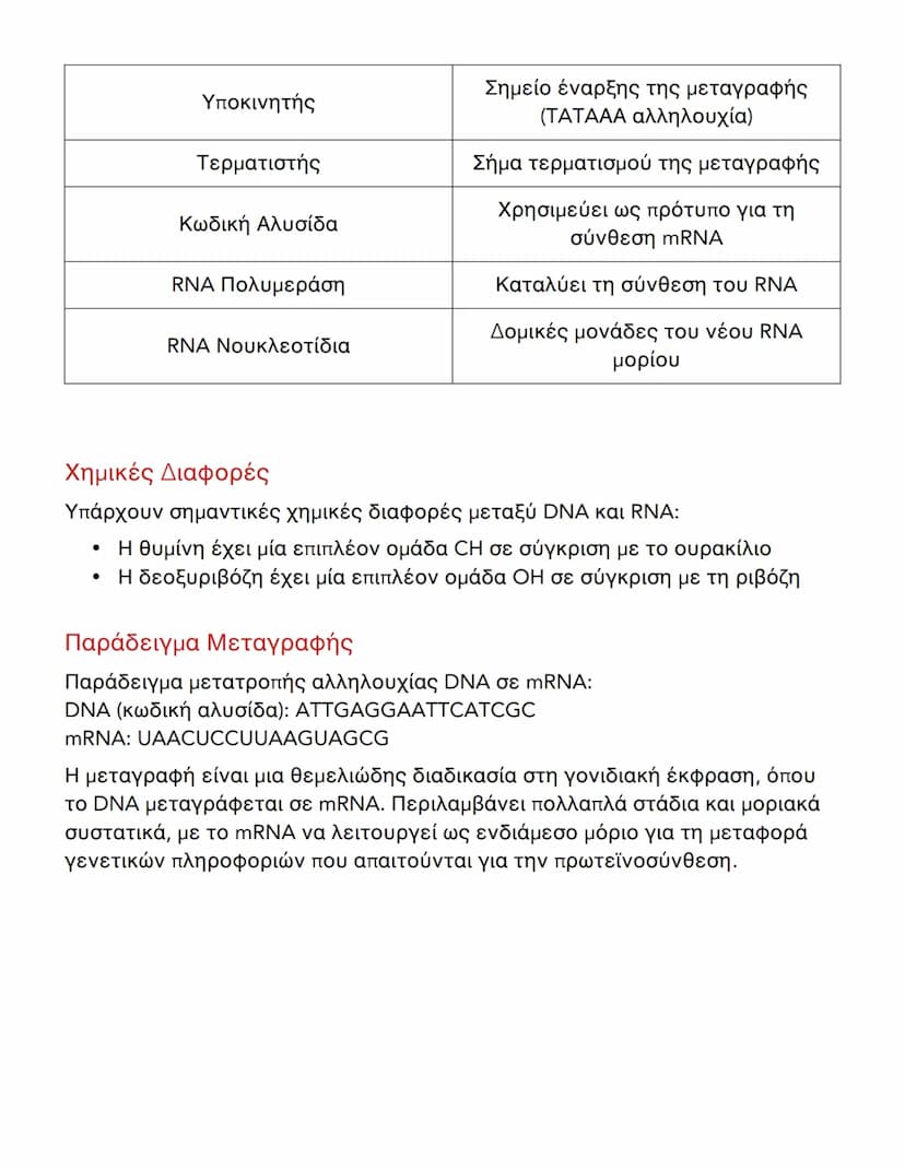 --- OCR Start ---
Μεταγραφή DNA: Λειτουργία και Διαδικασία
Λειτουργία του mRNA
Το αγγελιοφόρο RNA (mRNA) είναι ένα βασικό μόριο στη διαδικασ