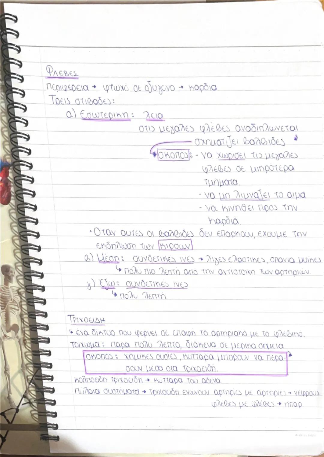 # ΚΥΚΛΟΦΟΡΙΚΟ ΣΥΣΤΗΜΑ

31 ΑΝΑΤΟΜΙΑ ΤΗΣ ΚΑΡΔΙΑΣ

Η ΚΑΡΔΙΑ

• μυώδες κ κοιλο οργανο

όχημα τριγωνικής πυραμίδας

• βρίσκεται στο θωρακο

ανάμε