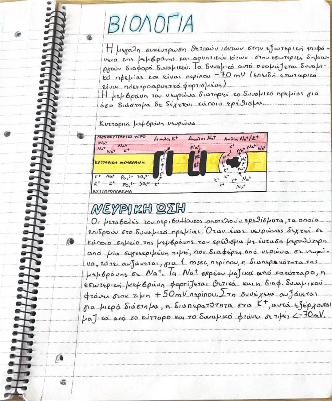 # ΝΕΥΡΙΚΟ ΣΥΣΤΗΜΑ

• Το νευρικό σύστημα μαζί με το σύστημα των
ευδοκρινών αδένων.
συμβάλουν στη διατήρηση σταθερού εσωτερικού περιβάλλοντος 