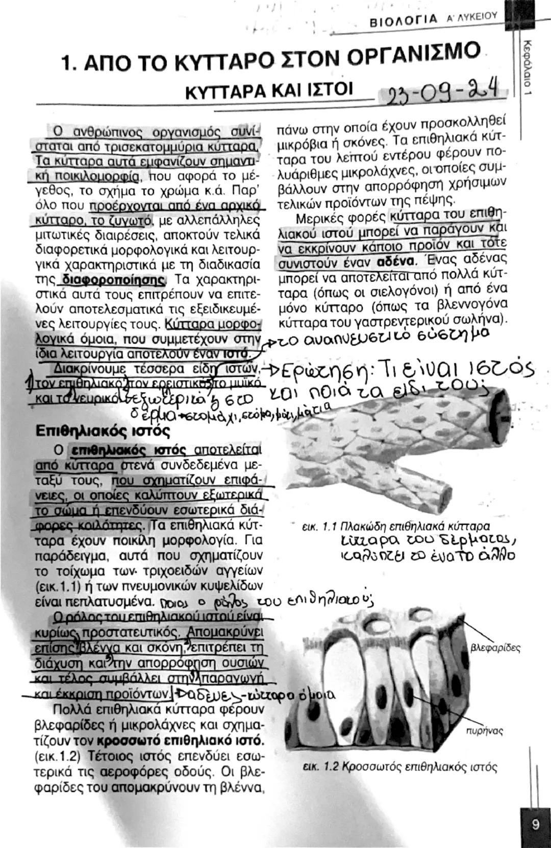 # ΒΙΟΛΟΓΙΑ Α' ΛΥΚΕΙΟΥ
# 1. ΑΠΟ ΤΟ ΚΥΤΤΑΡΟ ΣΤΟΝ ΟΡΓΑΝΙΣΜΟ.
## ΚΥΤΤΑΡΑ ΚΑΙ ΙΣΤΟΙ
23-09-24
Κεφάλαιο 1
Ο ανθρώπινος οργανισμός συνί
σταται από τ