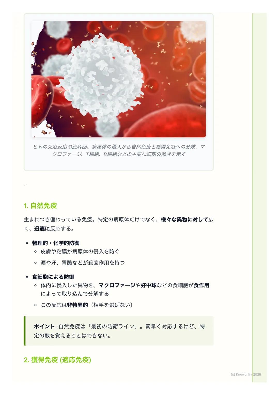 # 免疫

## 免疫の概要

生物の体は、体内に侵入した細菌やウイルスなどの病原体や、体内で発生したが
ん細胞などの異物を認識して排除する仕組みを持っている。この仕組みを免疫と
いう。免疫は、自分自身(自己)と、自分以外の異物 (非自己)を区別して、
非自己だけを攻撃するのが基