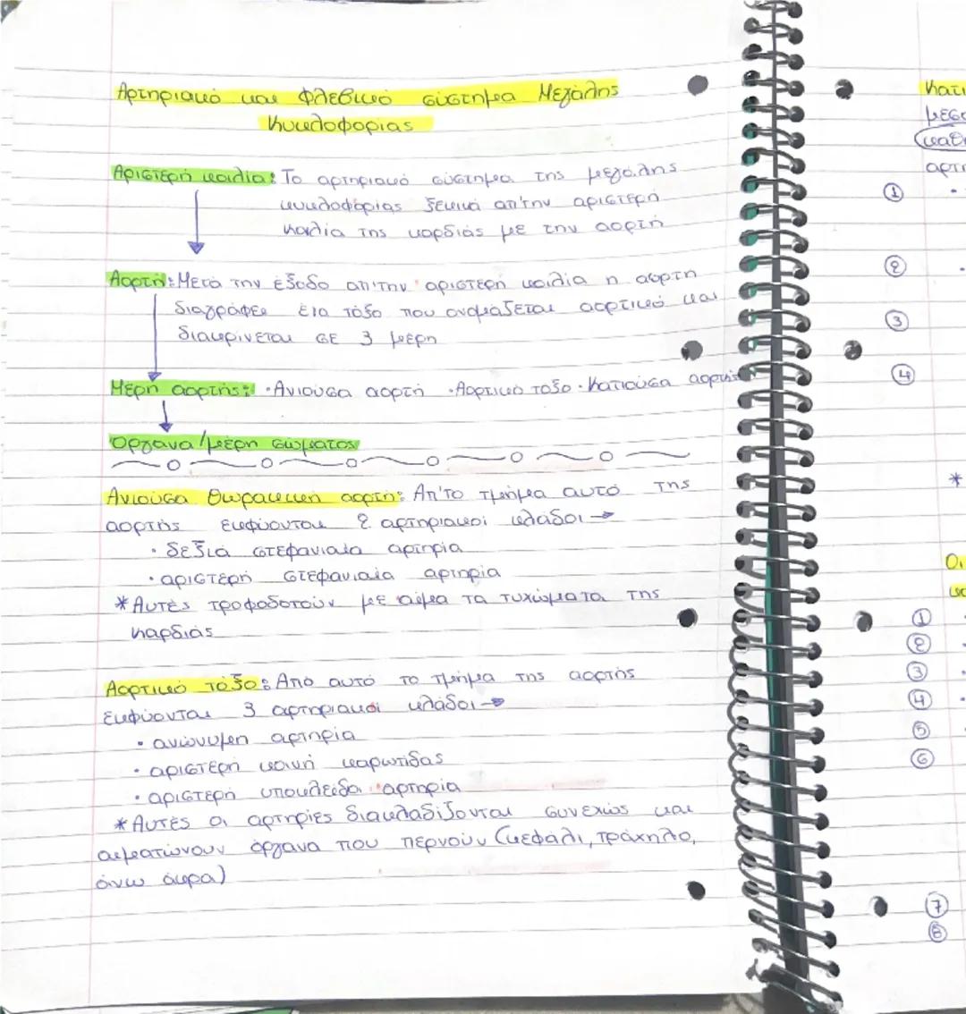 e
e
e
e
!
16/9/24

Τριχοειδή αγγεία:

*   Το λεπτότερα αγγεία
*   Σε αυτά καταλήγουν οι αρτηρίες αφού διακλαδιστούν
*   Τα τριχοειδή επιτα σ