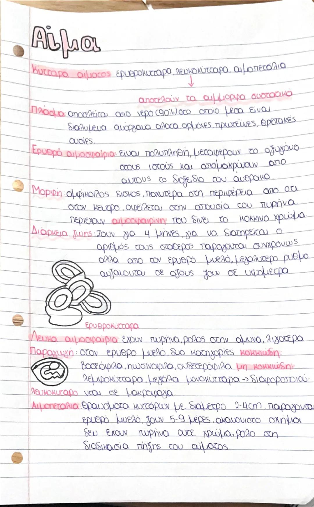 # Βιολογία

Κυκλοφορικό
Σύστημα

φυσιολογικος XOUTOS
καρδια 60-8ο λεπικό
γυναικές πιο αυξημάς
όπως και το μωρα (130)
λόγω αυξημένων ενερ
ειά