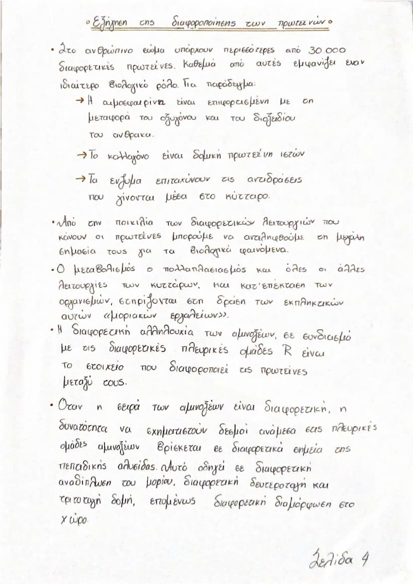 --- OCR Start ---
K
«Πυρήνας ο
C
• Μακρομόρια
• Τι είναι;
Είναι χημικές ενώσεις πολύ μεγάλου μοριακού βάρους
που υπάρχουν μέσα
κύτταρο. Χαρα