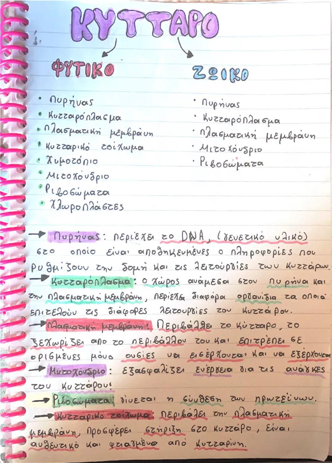 .
.
# KYTTAPO

## ΦΥΤΙΚΟ

*   πυρήνας
*   Κυτταρόπλασμα
*   πλασματική μεμβράνη
*   κυτταρικό τοίχωμα
*   Χυμοτόπιο
*   Μιτοχονδριο
*   Ριβο