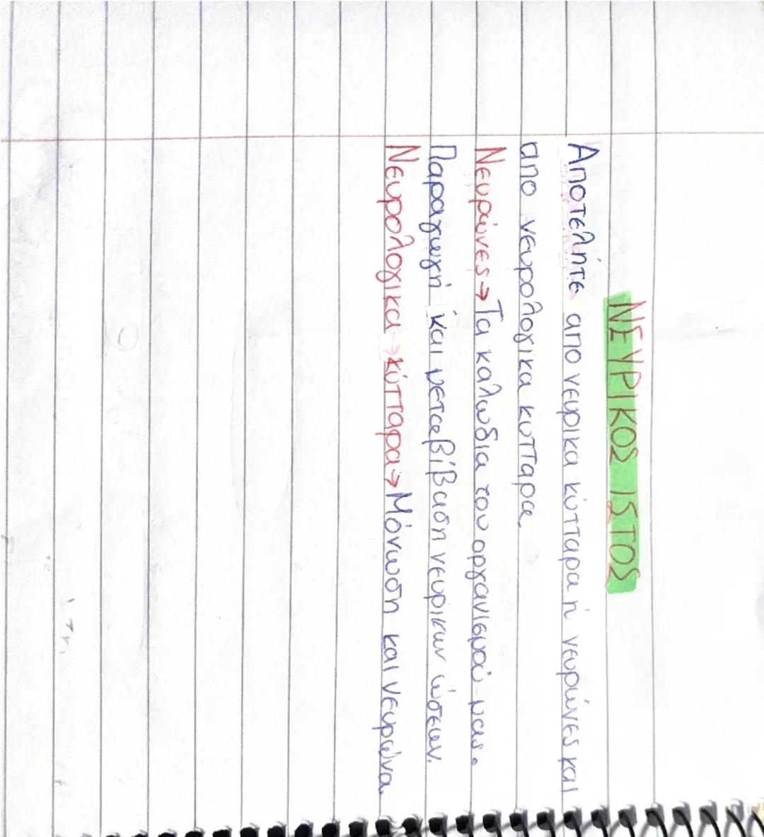 --- OCR Start ---
.
S
Κεφάλαιο 1η
1. ΑΠΟ ΤΟ ΚΥΤΤΑΡΑ ΣΤΟ ΟΡΓΑΝΙΣMO
Πως οργανώνεται ο ανθρώπινος οργανισμος:
1) κύτταρα (περίπου 1.000.000.000