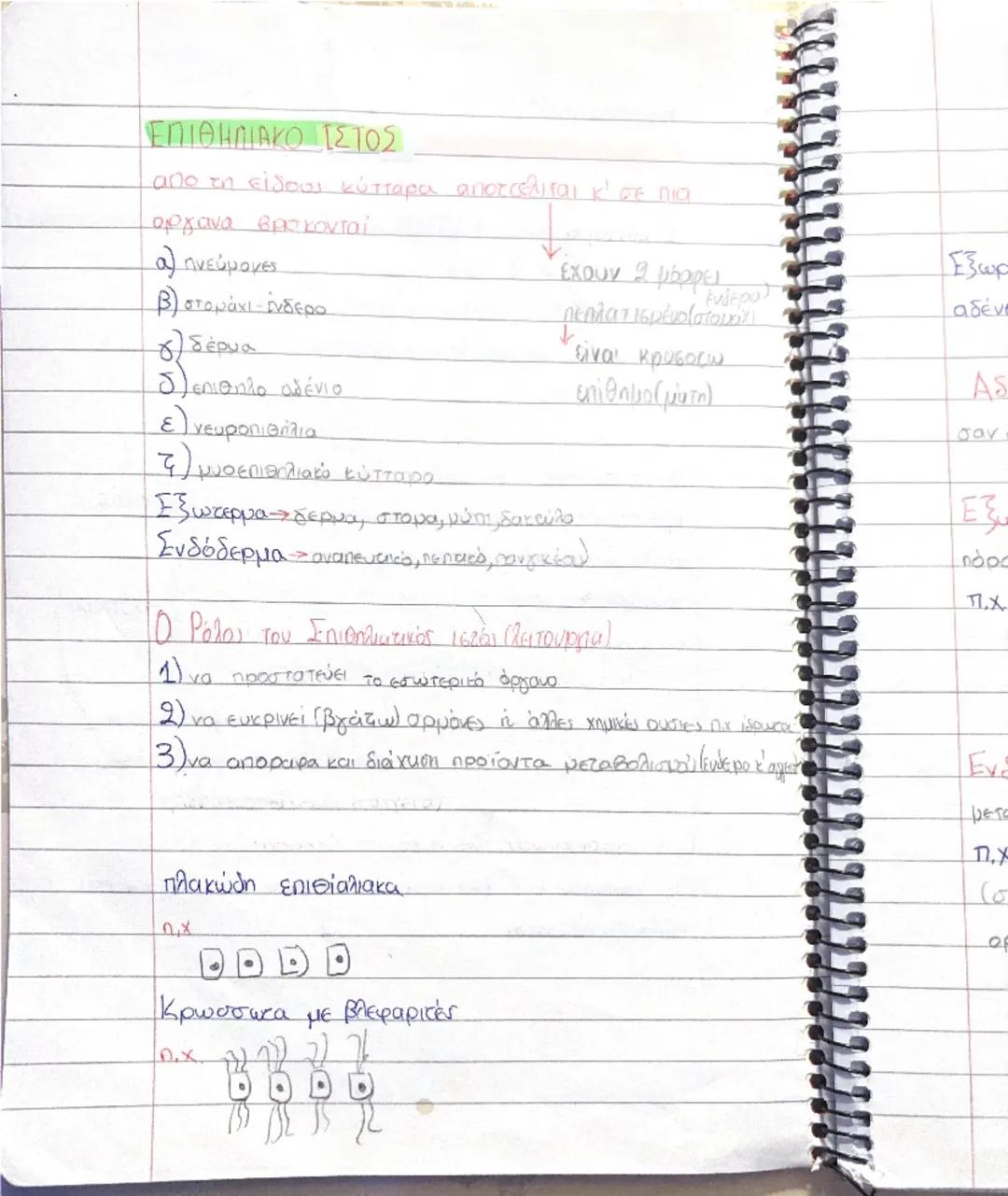 --- OCR Start ---
.
S
Κεφάλαιο 1η
1. ΑΠΟ ΤΟ ΚΥΤΤΑΡΑ ΣΤΟ ΟΡΓΑΝΙΣMO
Πως οργανώνεται ο ανθρώπινος οργανισμος:
1) κύτταρα (περίπου 1.000.000.000