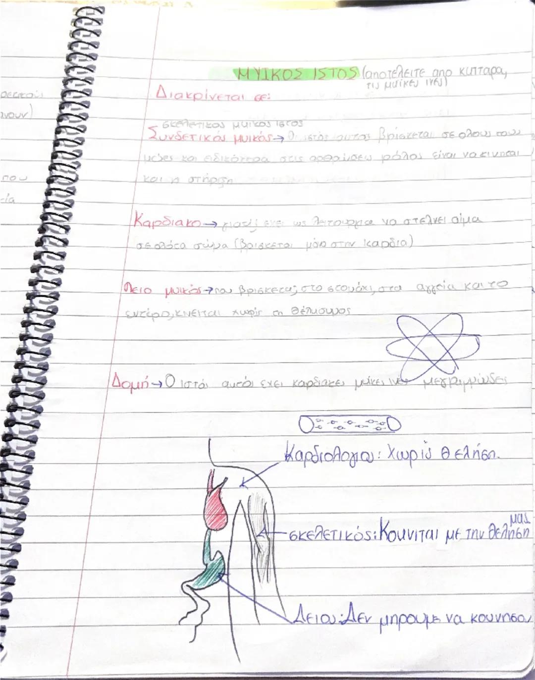 --- OCR Start ---
.
S
Κεφάλαιο 1η
1. ΑΠΟ ΤΟ ΚΥΤΤΑΡΑ ΣΤΟ ΟΡΓΑΝΙΣMO
Πως οργανώνεται ο ανθρώπινος οργανισμος:
1) κύτταρα (περίπου 1.000.000.000