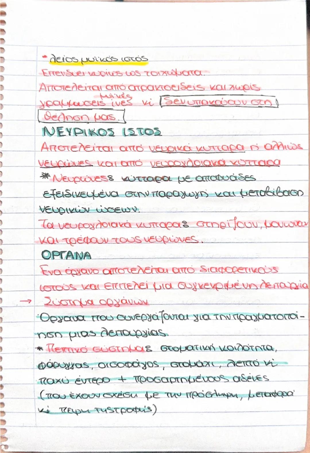 →
ΒΙΟΛΟΓΙΑ σημειώσεις για τεστ
Διαφοροποίηση
Όλα τα κύτταρα προέρχονται από το αρχικό
kύτταρο, το ζυγωτό που με αλλεπάλληλες μιτωτικές
διαιρ