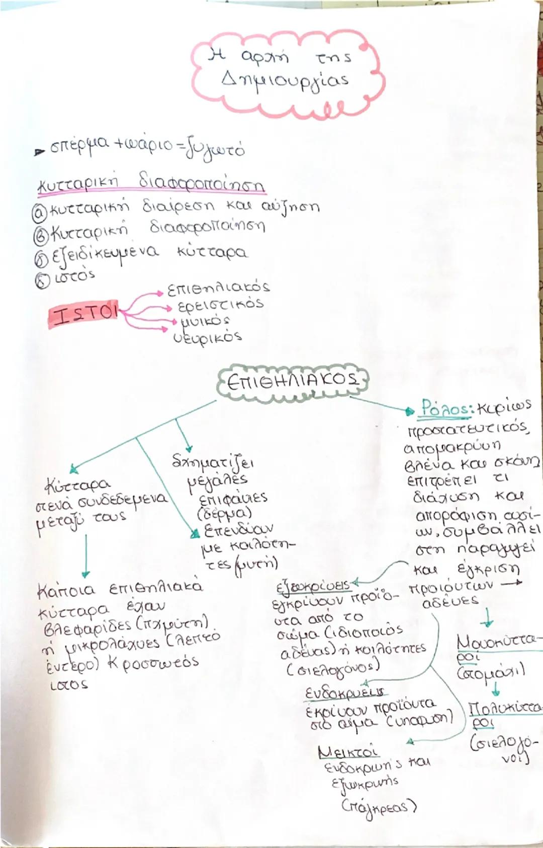 ερίζω τσακώνομαι,
ερείζω» Στηρίζω,

ΕΙΡΙΣΤΙΚΟΣ

Κύτταρα μέσα
σε αφθονία
μεσοκύτταρεις
ουσίας
↓
πρωτεϊνικά ένιδια

Ρόλος: δυ-
νδεει δομές,
Δι