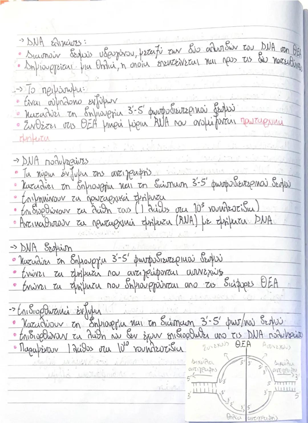 Αντιγραφή, έκφραση και ρύθμιση
της γενετικής πληροφορίας

Κεφ: 2

->
->
• Ο ημιουντιριτικός μηχανισμός της αντιγραφής 8ξξξ
Όταν ένα μόριο DN
