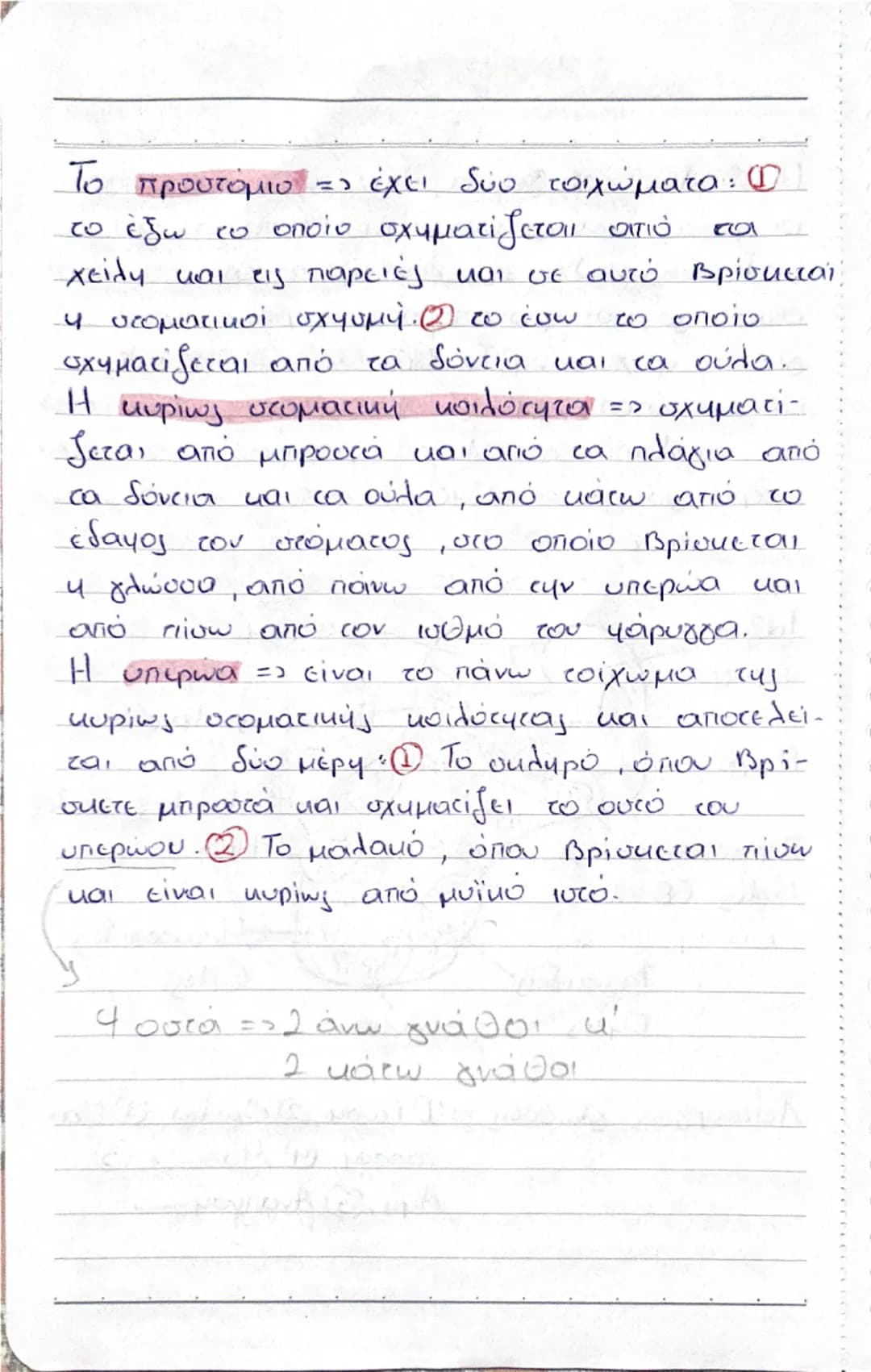 --- OCR Start ---
ΠΕΠΤΙΚΟ ΣΥΣΤΗΜΑ!
-Φάρυγγας
Στοματική
κοιλότητα
Σιελογόνοι αδένες
-Οιωφάγος
Διάφραγμα
Σπλήνας
ΗΠΑΡ
Πάγκρεας
Χοληδόχος
κύστη