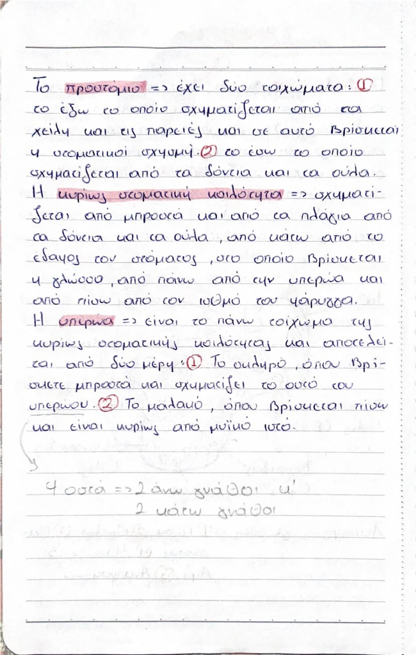 --- OCR Start ---
ΠΕΠΤΙΚΟ ΣΥΣΤΗΜΑ!
-Φάρυγγας
Στοματική
κοιλότητα
Σιελογόνοι αδένες
-Οιωφάγος
Διάφραγμα
Σπλήνας
ΗΠΑΡ
Πάγκρεας
Χοληδόχος
κύστη