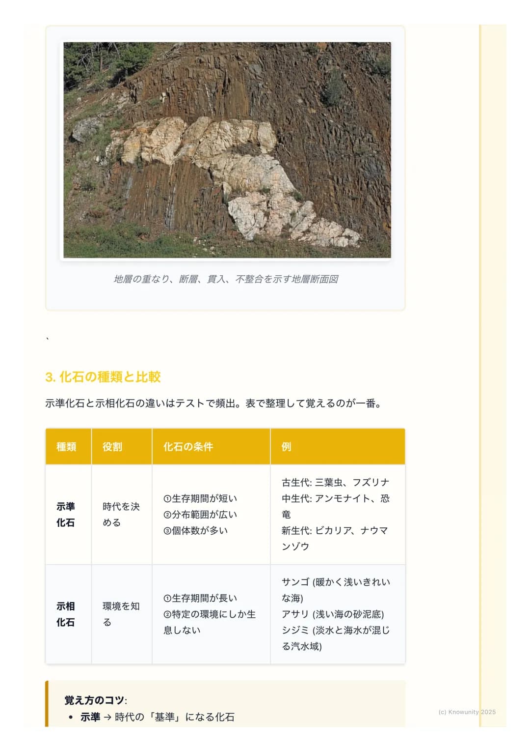 # 地層と化石

地層と化石の基本

地層は、大地の歴史が記録された「本」のようなもの。地層の重なり方や含まれ
る化石を調べることで、過去の地球で何が起こったのか、どんな生物がいたのか
を知ることができる。テストでもよく出る分野だから、しっかり理解しておく必
要がある。

重要な