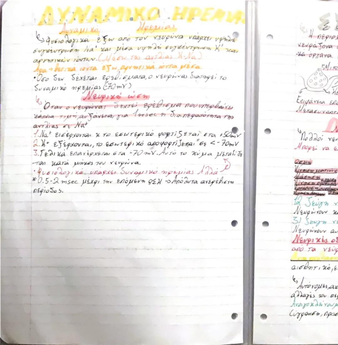 # ΚΥΤΤΑΡΑ-ΙΣΤΟ!
Βιολογία - 1ο κεφάλαιο

- Διαφοροποίηση

Όλα τα κύτταρα προέρχονται από το αρχικό χύτταρο, το ζυγωτό
που με αλλεπάλληλες μισ