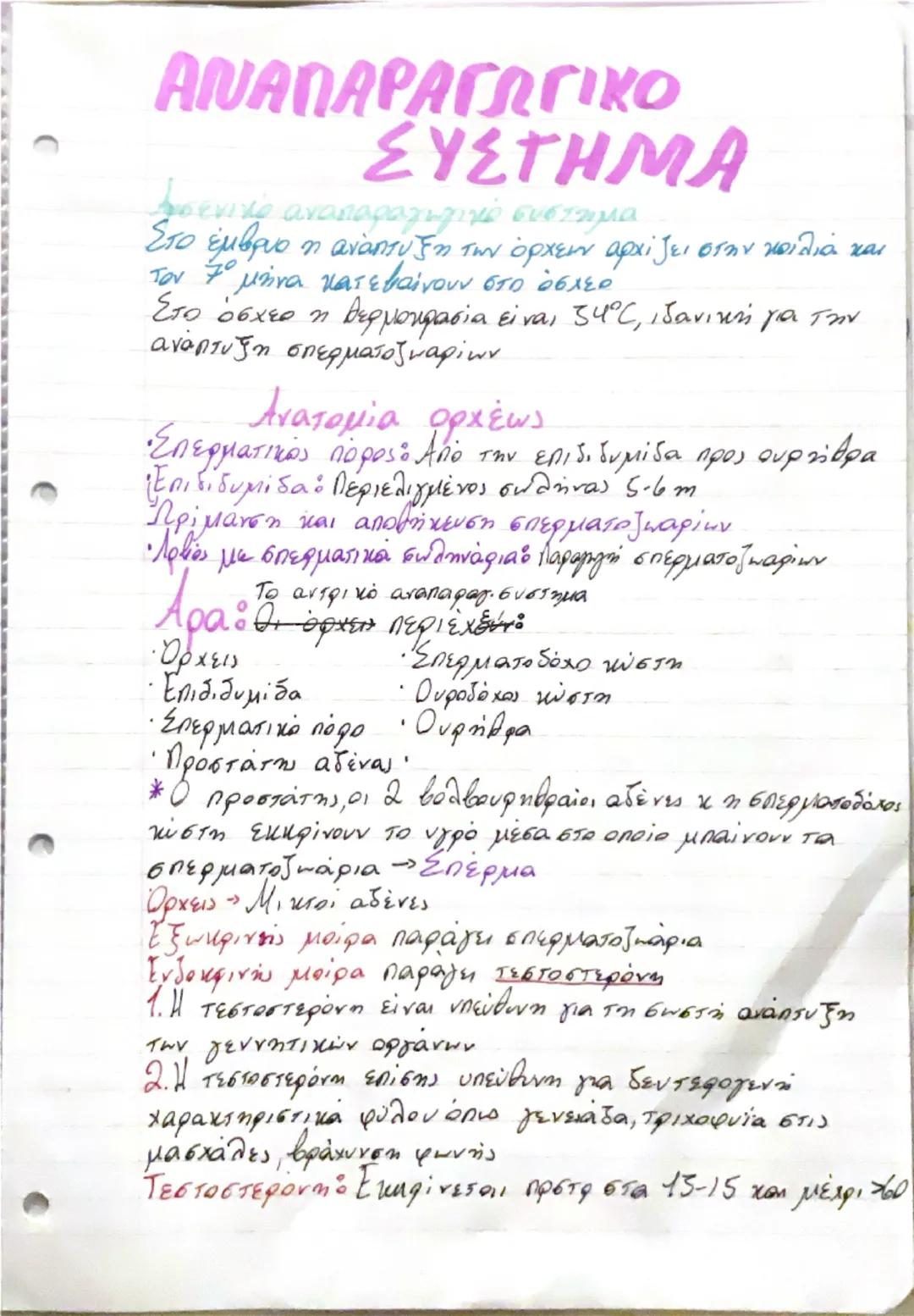 # ΚΥΤΤΑΡΑ-ΙΣΤΟ!
Βιολογία - 1ο κεφάλαιο

- Διαφοροποίηση

Όλα τα κύτταρα προέρχονται από το αρχικό χύτταρο, το ζυγωτό
που με αλλεπάλληλες μισ