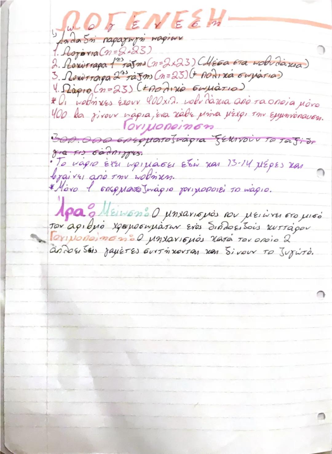 # ΚΥΤΤΑΡΑ-ΙΣΤΟ!
Βιολογία - 1ο κεφάλαιο

- Διαφοροποίηση

Όλα τα κύτταρα προέρχονται από το αρχικό χύτταρο, το ζυγωτό
που με αλλεπάλληλες μισ