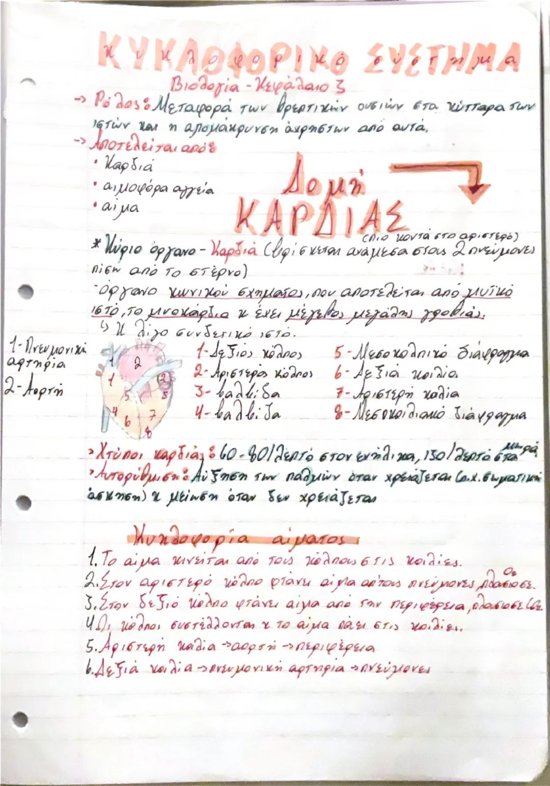 # ΚΥΤΤΑΡΑ-ΙΣΤΟ!
Βιολογία - 1ο κεφάλαιο

- Διαφοροποίηση

Όλα τα κύτταρα προέρχονται από το αρχικό χύτταρο, το ζυγωτό
που με αλλεπάλληλες μισ