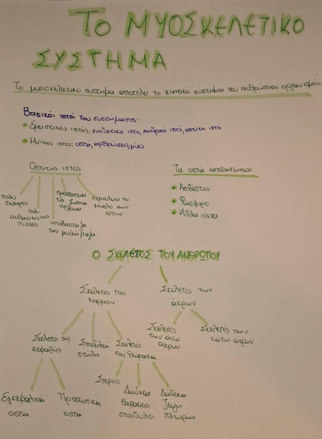 Το μυοσκελετικό σύστημα 