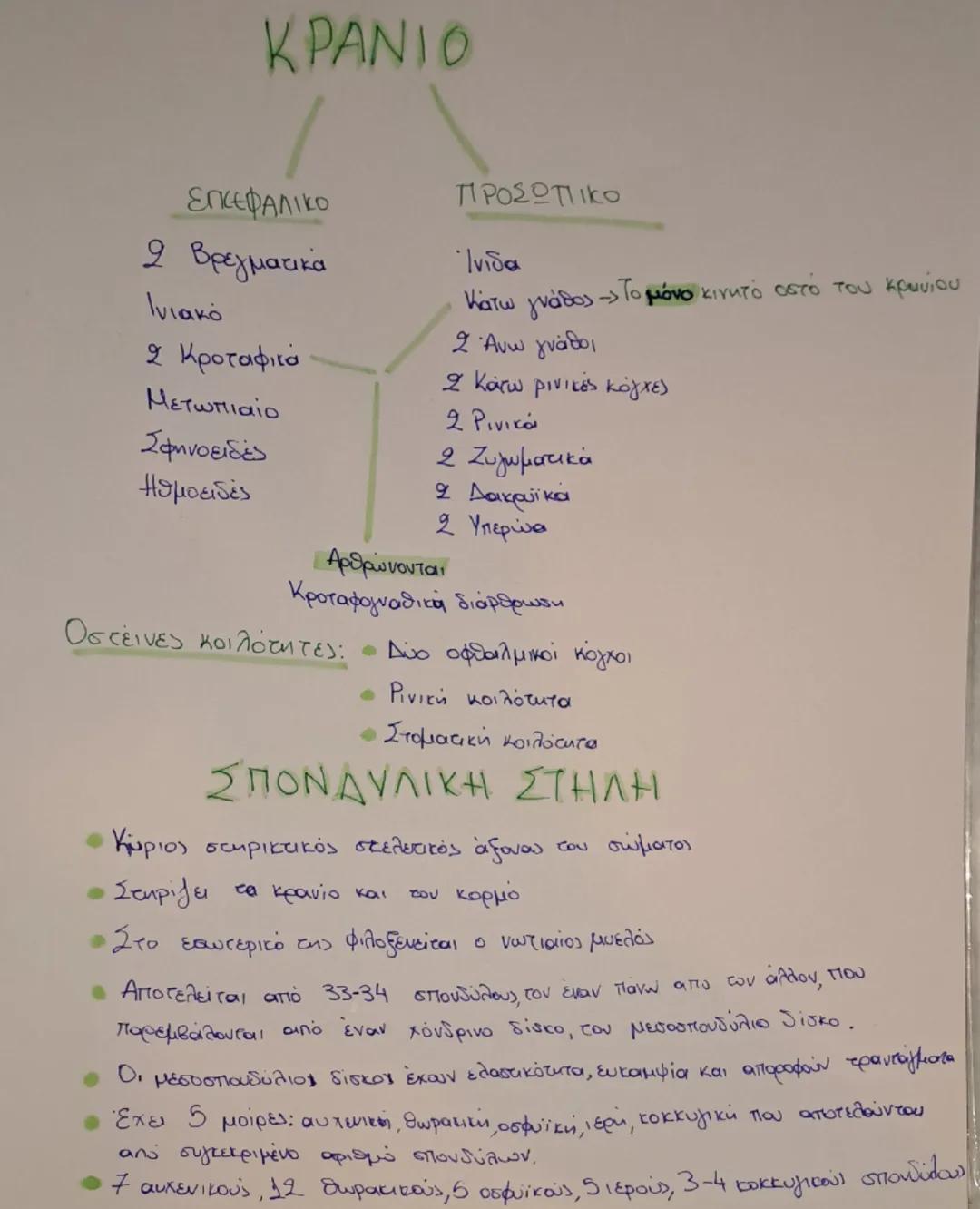 # ΤΟ ΜΥΟΣΚΕΛΕΤΙΚΟ

# ΣΥΣΤΗΜΑ

Το μυοσκελετικό σύστημα αποτελεί το κινητικό σύστημα του
πολύ
Βασικοί ιστοί του συστήματος:

*   Ερειστικός ισ