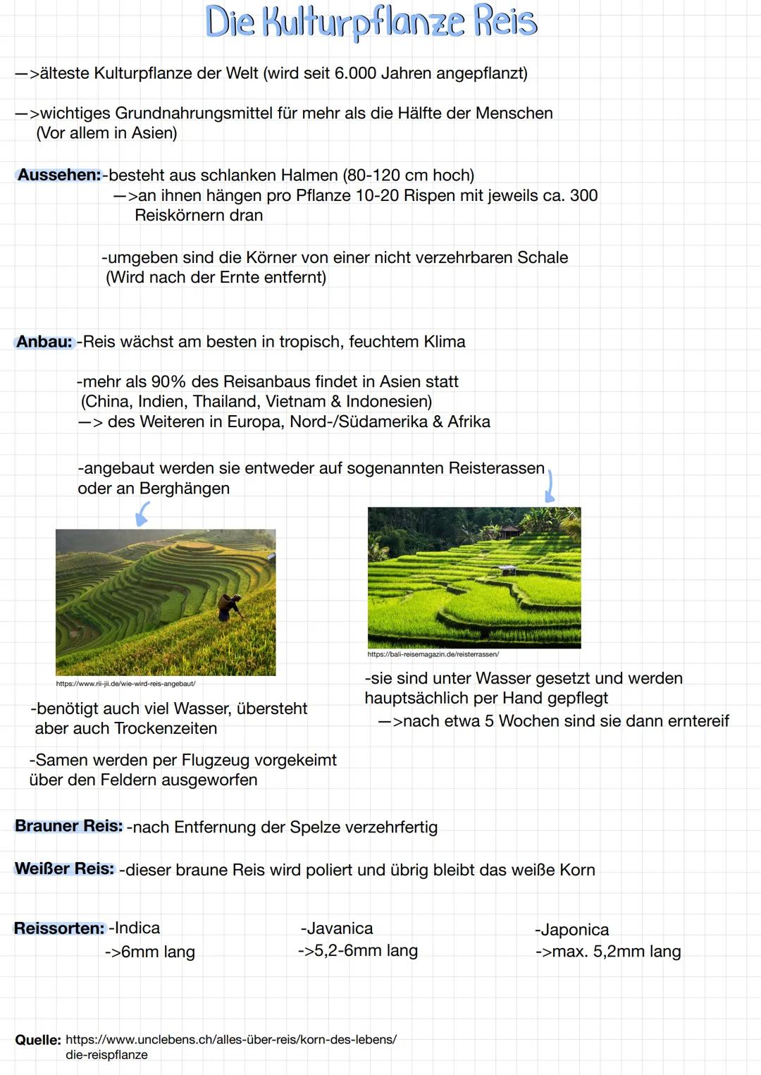 # Die Kulturpflanze Reis

->älteste Kulturpflanze der Welt (wird seit 6.000 Jahren angepflanzt)

->wichtiges Grundnahrungsmittel für mehr al