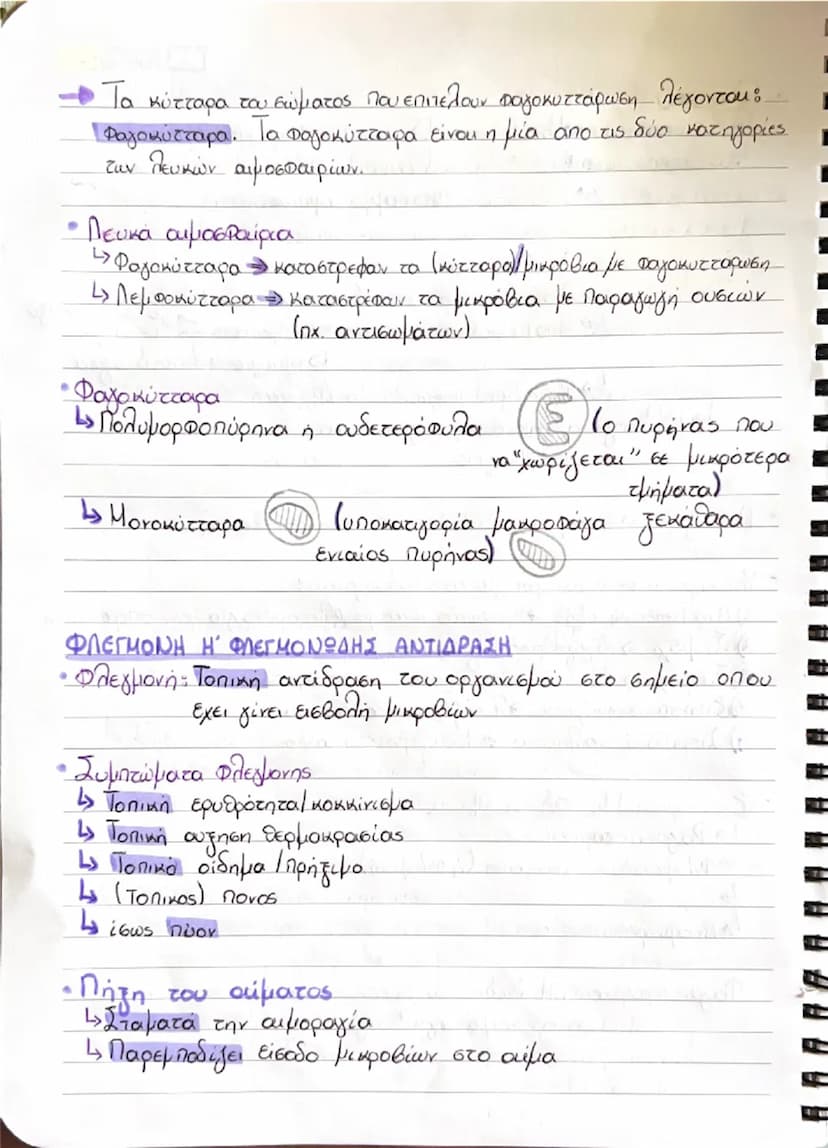 # ΒΙΟΛΟΓΙΑ

1. ΑΝΘΡΩΠΟΣ ΚΑΙ ΥΓΕΙΑ

1.1 Παράγοντες που επηρεάζουν την υγεία του ανθρώπου
• Ομοιόσταση: Η ικανότητα του οργανισμού να διατηρεί