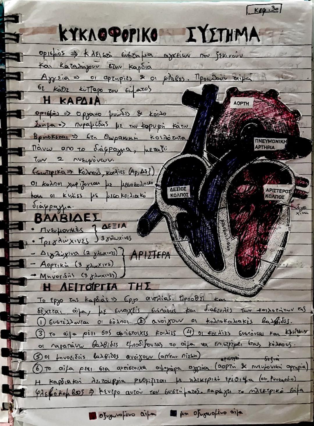 # ΚΥΚΛΟΦΟΡΙΚΟ

Κεφ.301

ΣΥΣΤΗΜΑ

ορισμός + Κλειστό σύστημα αγγείων που ξεκινούν
και καταλήγουν στην καρδιά

Αγγεία οι αρτηρίες & οι φλέβες. 