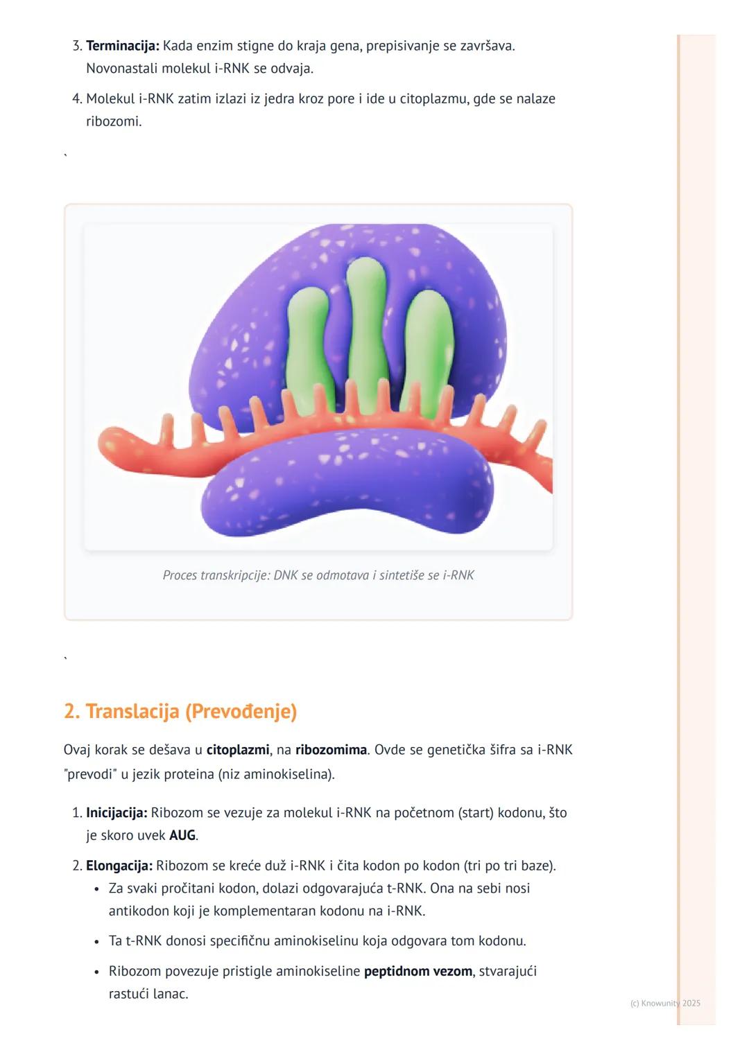 # Sinteza proteina (osnovni principi)

Uvod u sintezu proteina

Sinteza proteina je jedan od najvažnijih procesa u ćeliji. To je proces u ko