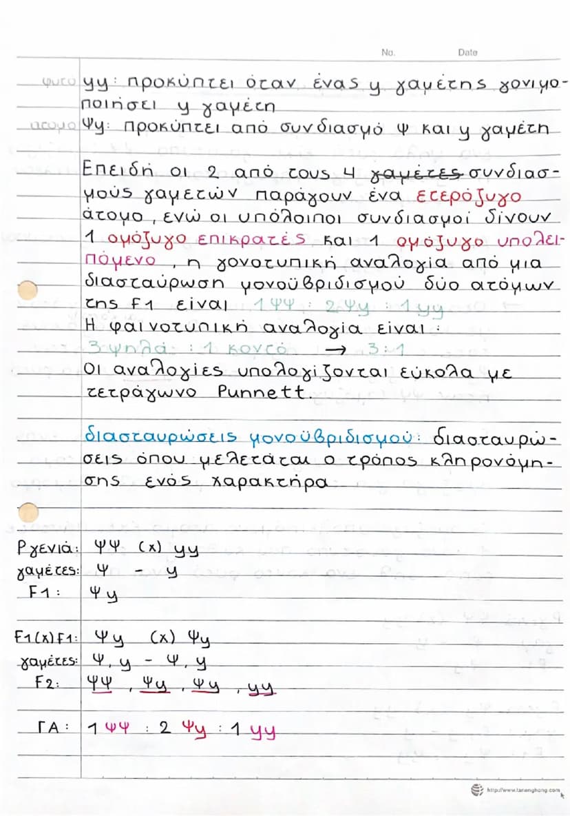 --- OCR Start ---
No.
Date
Πλεονεκτήματα μοσχομπίζελου (Pisum sativum)
α) Αναπτύσσεται πολύ εύκολα
β) Εμφανίζει μεγάλη ποικιλότητα σε πολλού