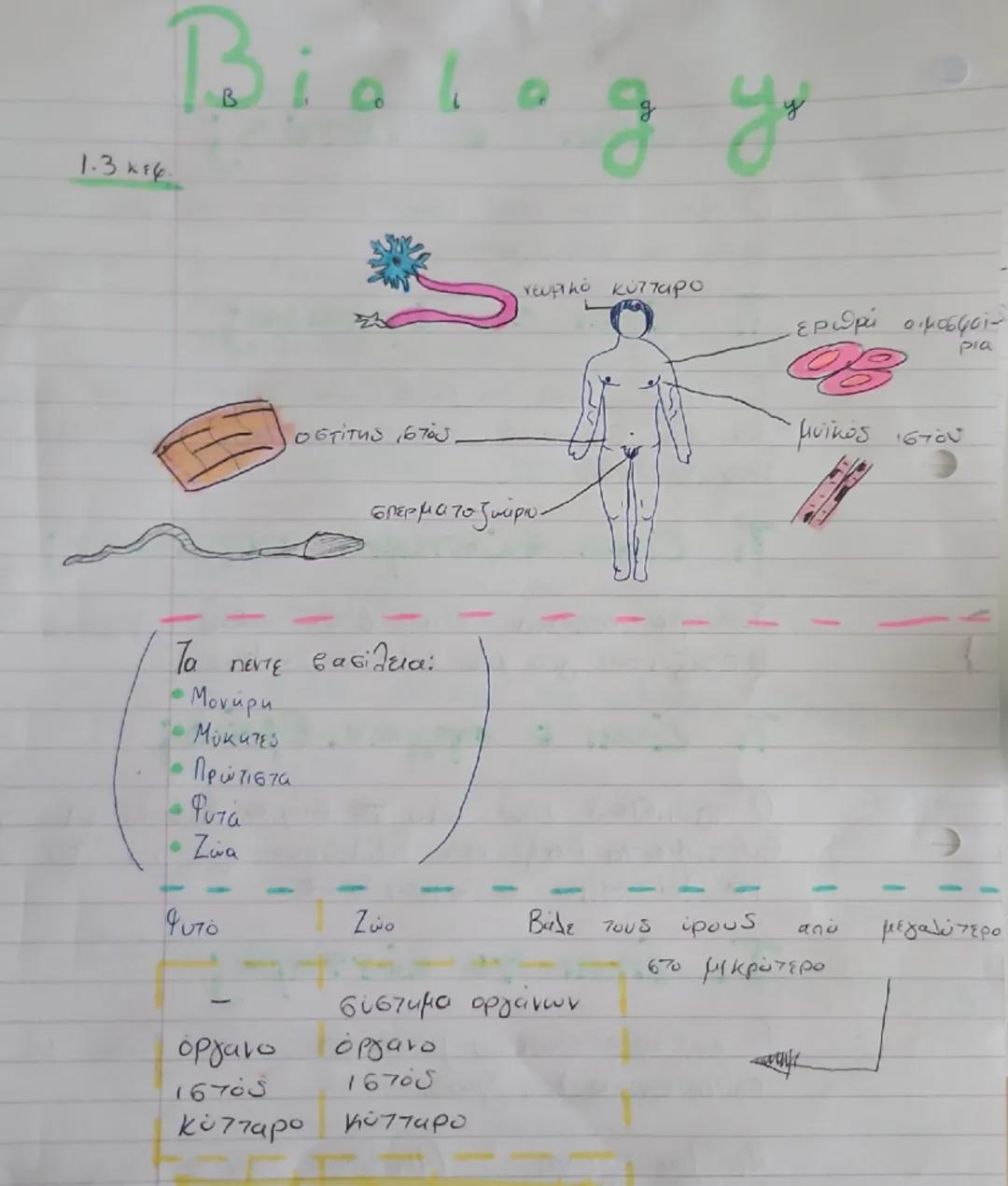 1.3 βιολογία α γυμνασιου 