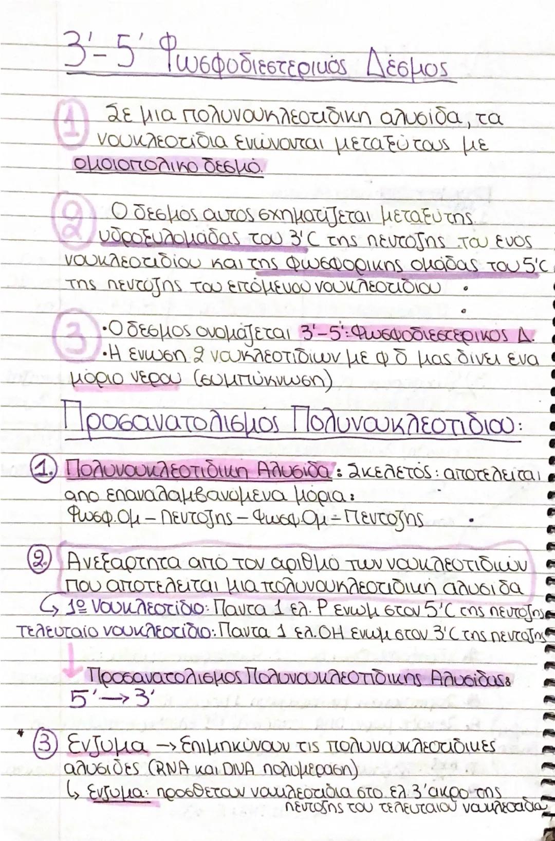 --- OCR Start ---
Psc
Δομή Νουκλεοτίδιου:
DNA, RNA → μακρομορια
→ νουκλεοτίδια (μονομερη)
✓
Νουκλεοτίδια: αποτελούνται
1.) Πεντοζη, δεοξυριβ