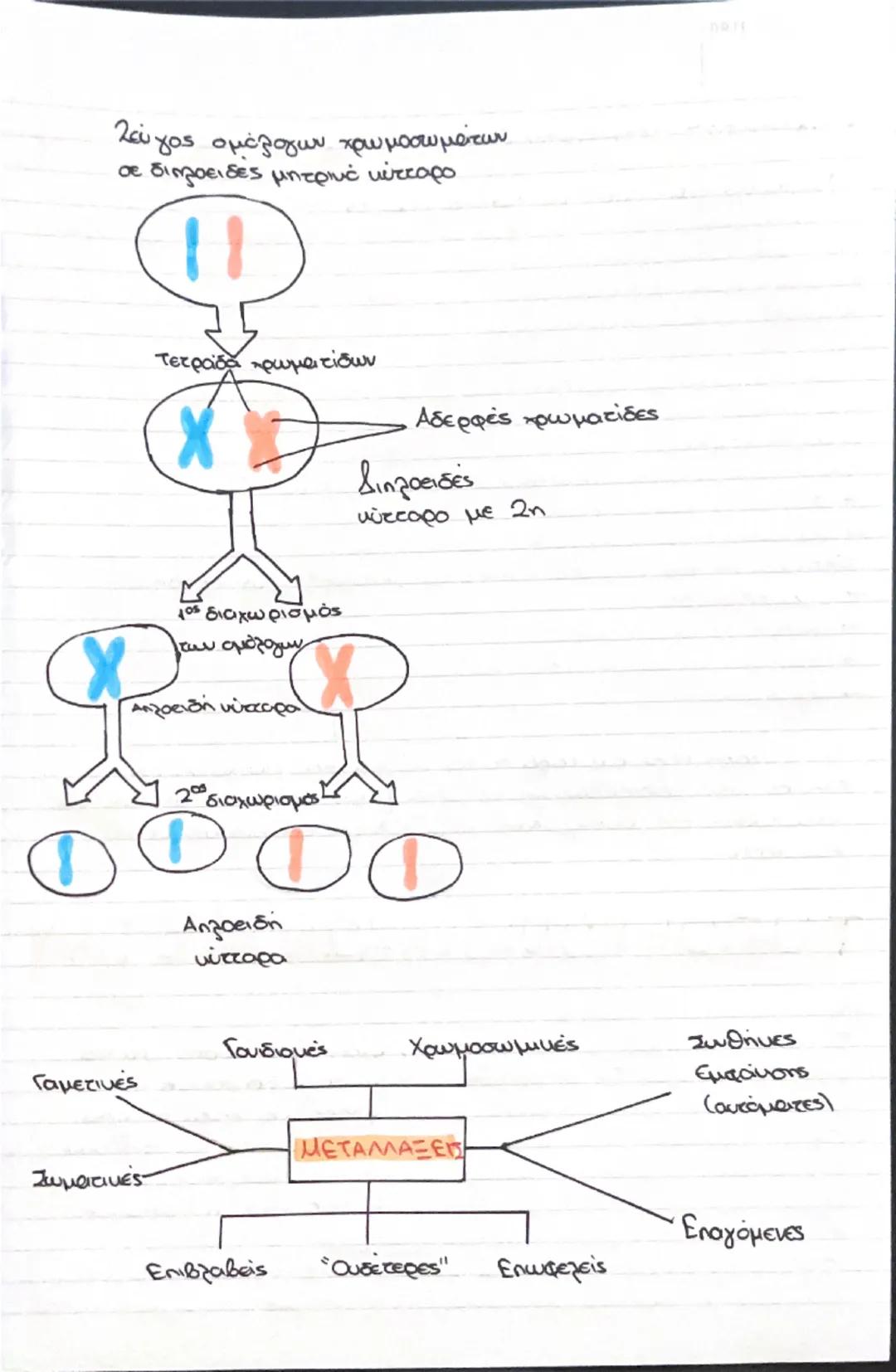 # Κεφάλαιο 6ο Μεταλλάξεις

Μεταλλάξεις είναι οι
αλλαγές στην αλληλουχία του DUA. Δημιουργούν
συνήθως ένα διαφορετικό φαινότυπο χωρίς όμως πά