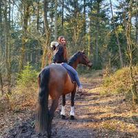 user profile picture