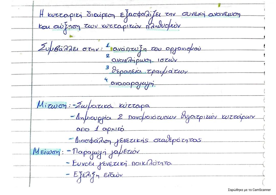 Κυτταρική Διαίρεση