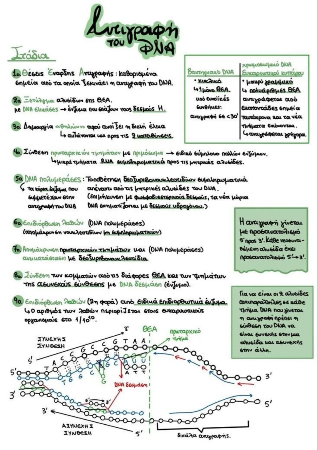 Αντιγραφή του DNA