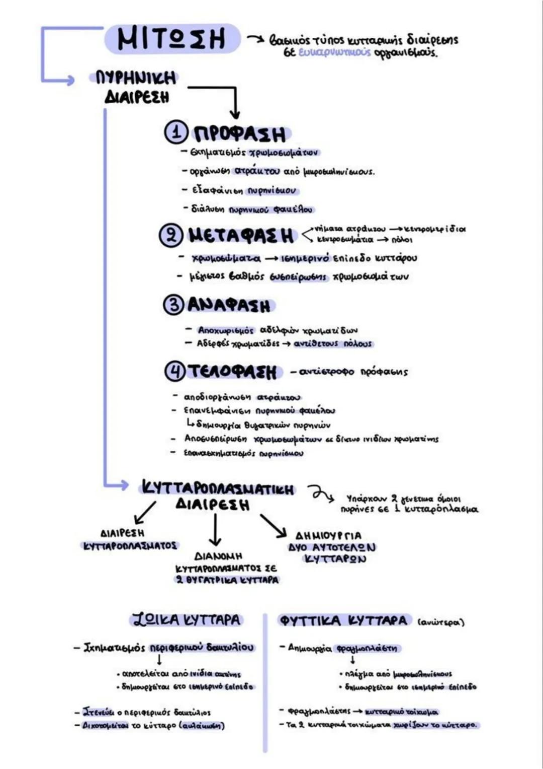 # ΜΙΤΩΣΗ → βασικός τύπος κυτταρικής διαίρεσης
σε ευκαρυωτικούς οργανισμούς.
## ΠΥΡΗΝΙΚΗ
## ΔΙΑΙΡΕΣΗ
1 **ΠΡΟΦΑΣΗ**
- σχηματισμός χρωμοσωμάτ
